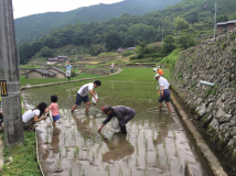 2014年 棚田オーナー 草引き