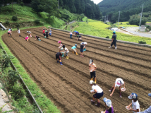 2015年 蕎麦の種蒔き（小学生）