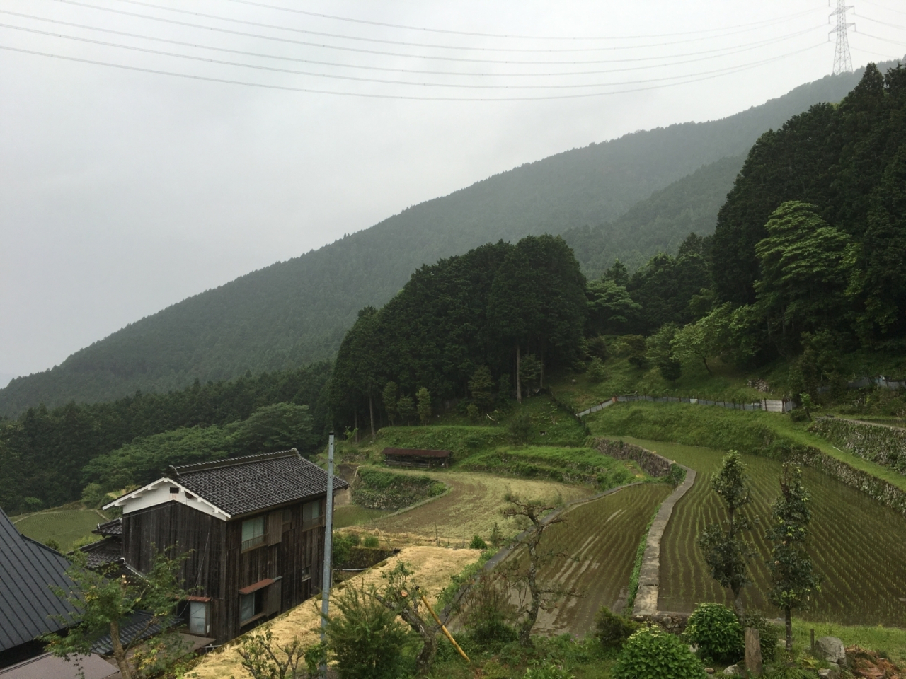 2016年5月29日 - 雨の日曜日