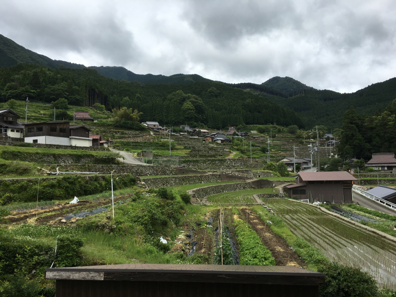 2016年6月5日 - 定点観測