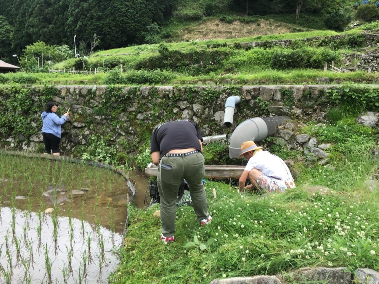 2016年 棚田オーナー 草引き・草刈り