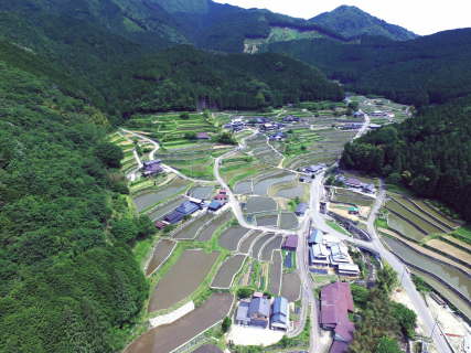 棚田カード　第4弾　岩座神の棚田 加美区岩座神で「棚田カード」の配布が始まりました。 - 多可町