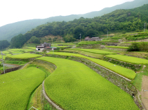 2016年8月 ドローン空撮 - 棚田