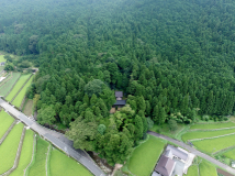 2016年8月 ドローン空撮 - 五霊神社の杜