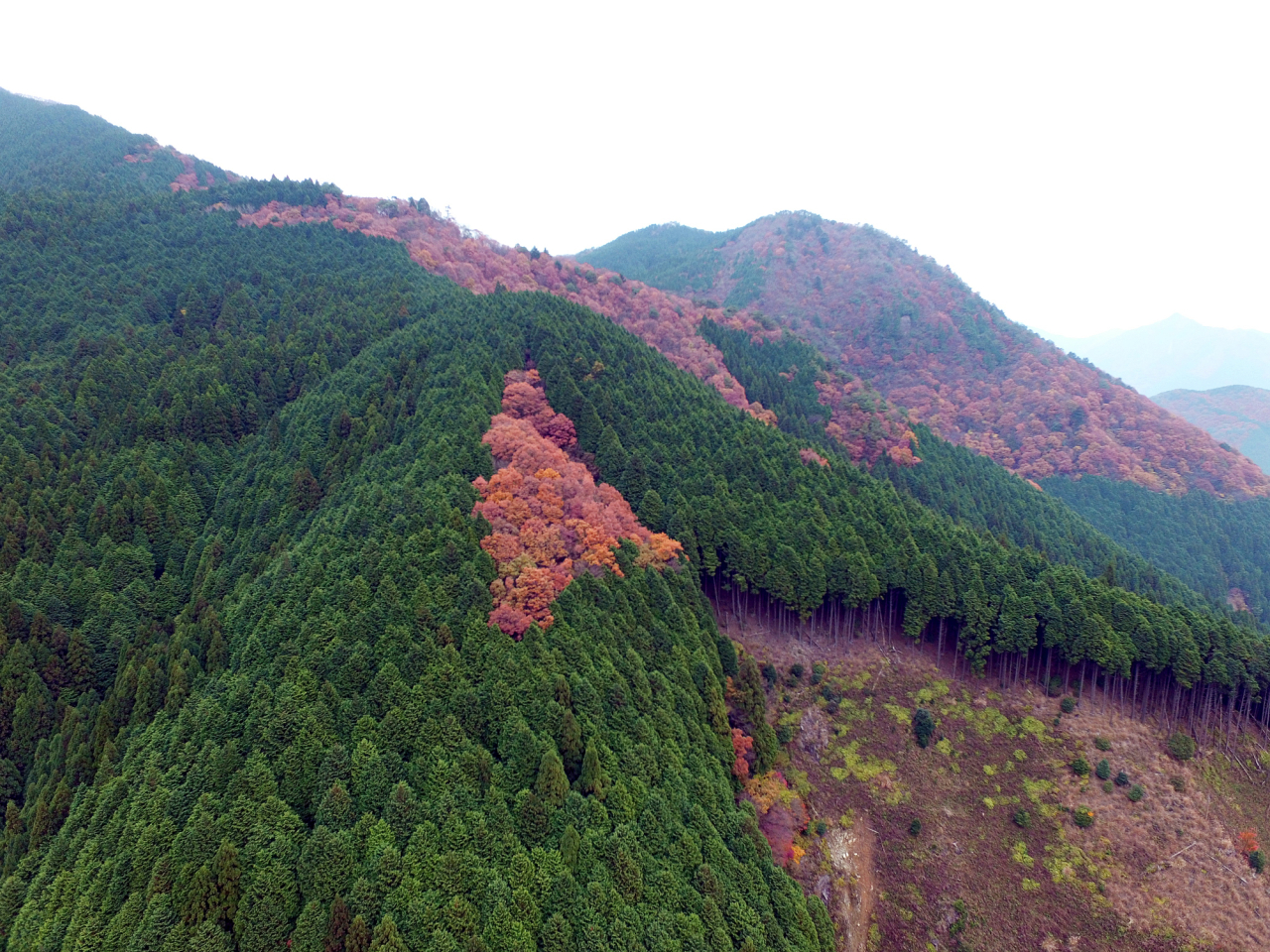 2016年11月 ドローン空撮 - 晩秋の岩座神