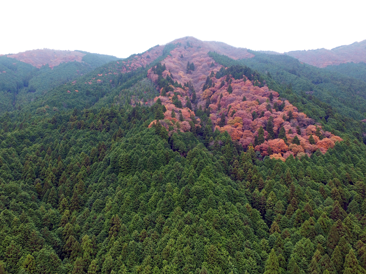 2016年11月 ドローン空撮 - 晩秋の岩座神