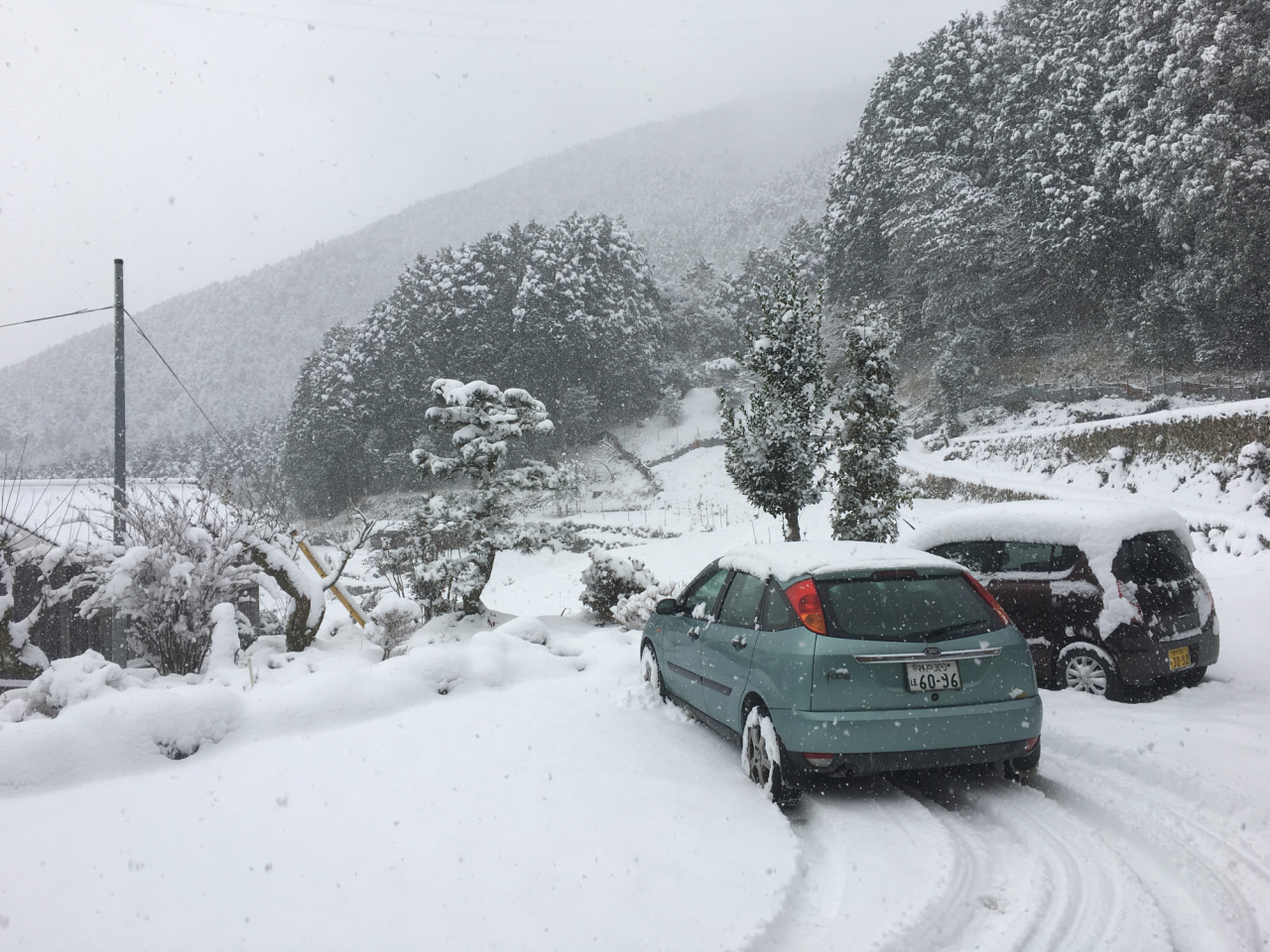 2017年1月14日 雪 - 庭先