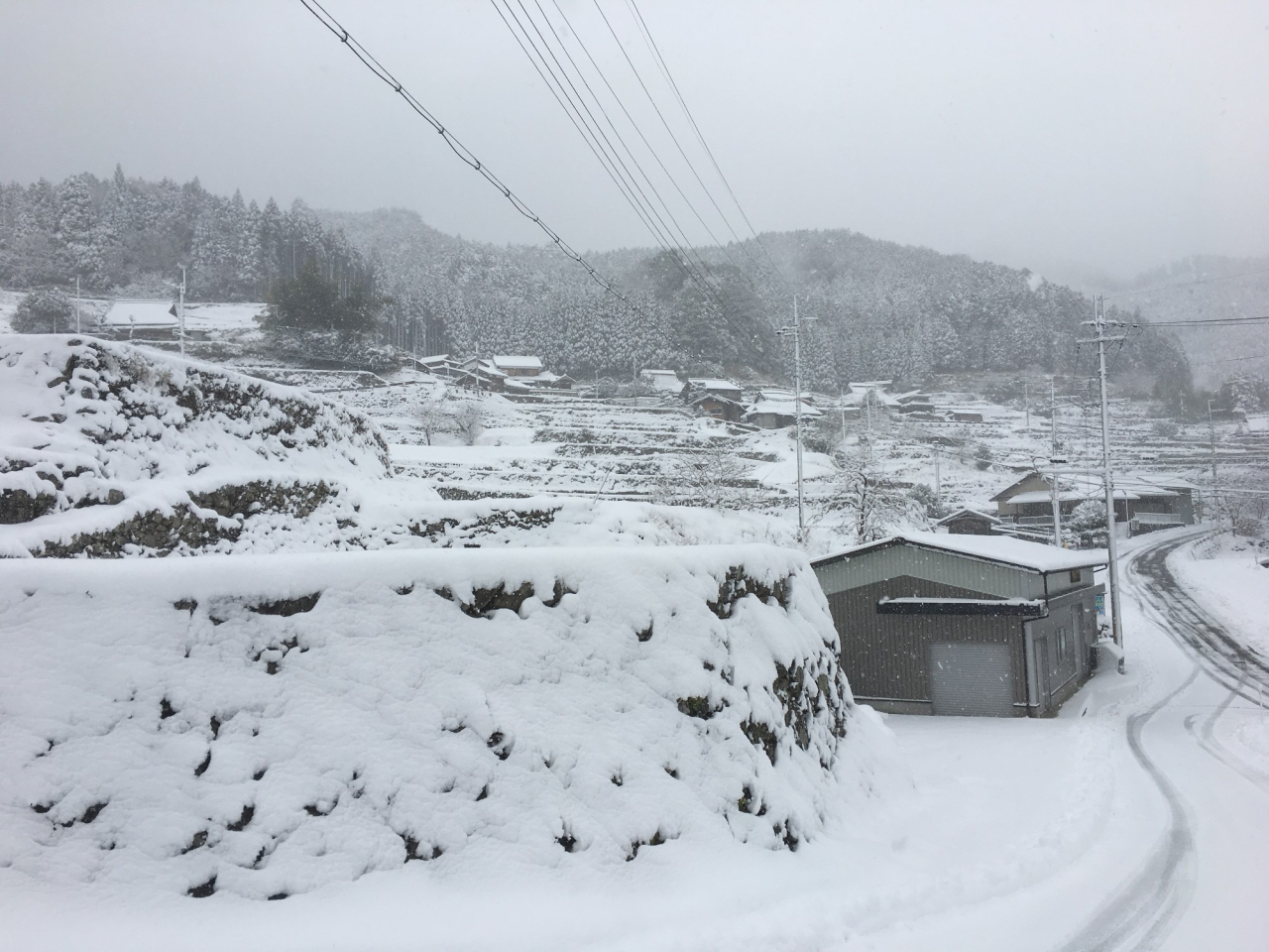 2017年1月14日 雪