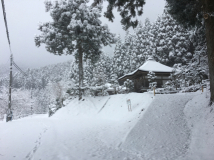 2017年1月14日 雪 - 神光寺