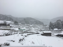 2017年1月14日 雪 - 定点観測地点から