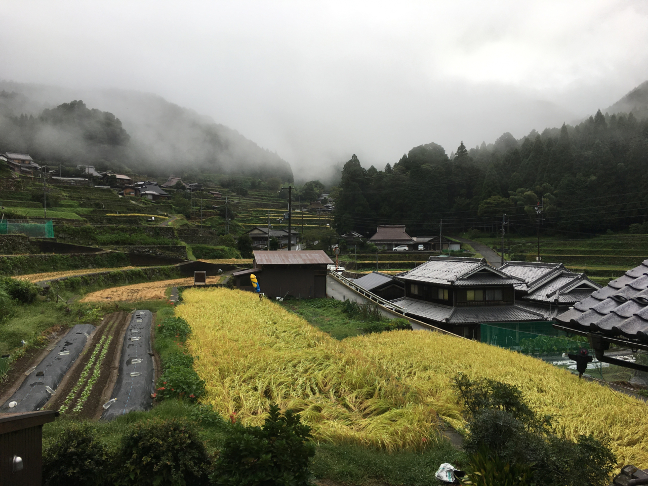 2017年9月 台風一過の岩座神