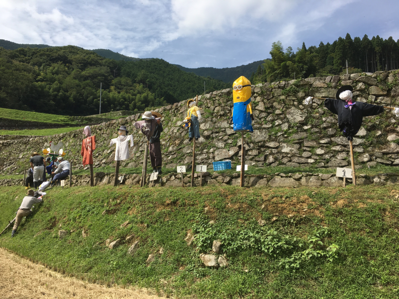 2017年 棚田オーナー田稲刈り - 勢揃いした案山子