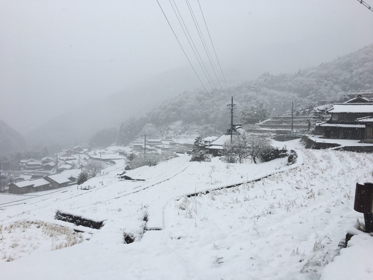 2018年 雪の正月 - 棚田