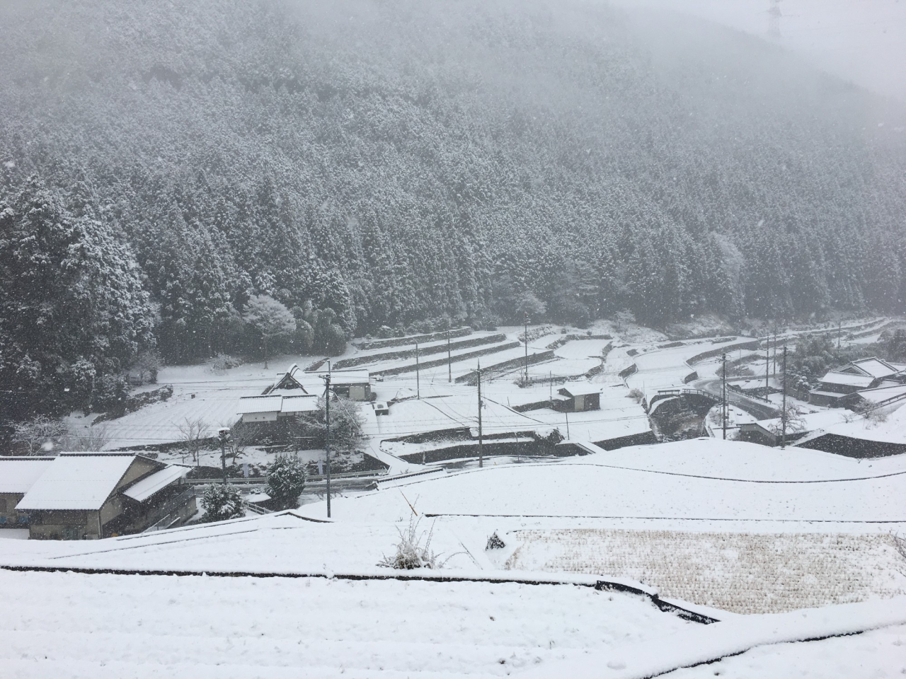 2018年 雪の正月