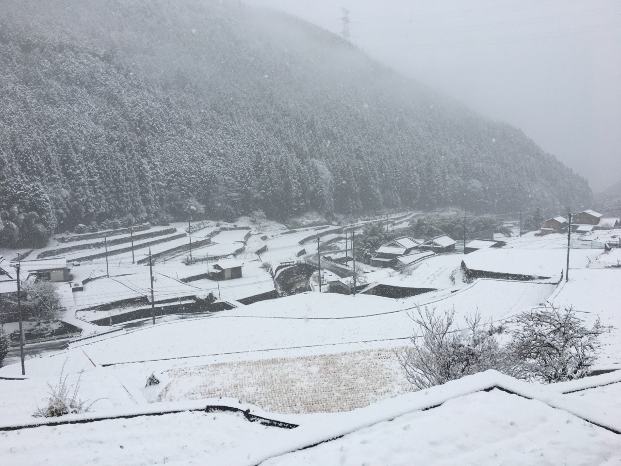 2018年 雪の正月