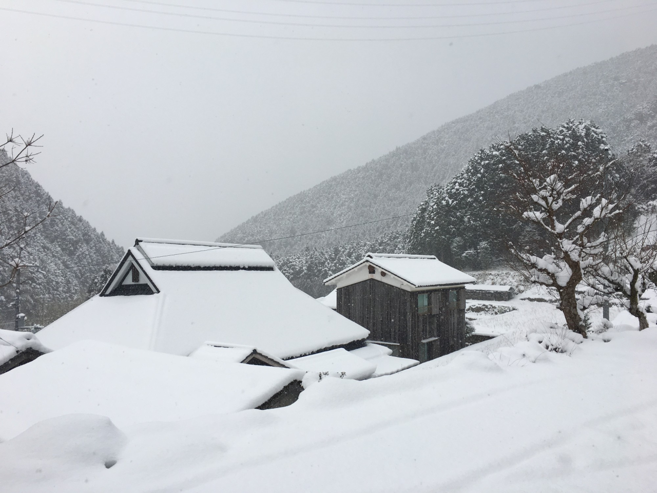 2018年1月27日 雪 - 隣家