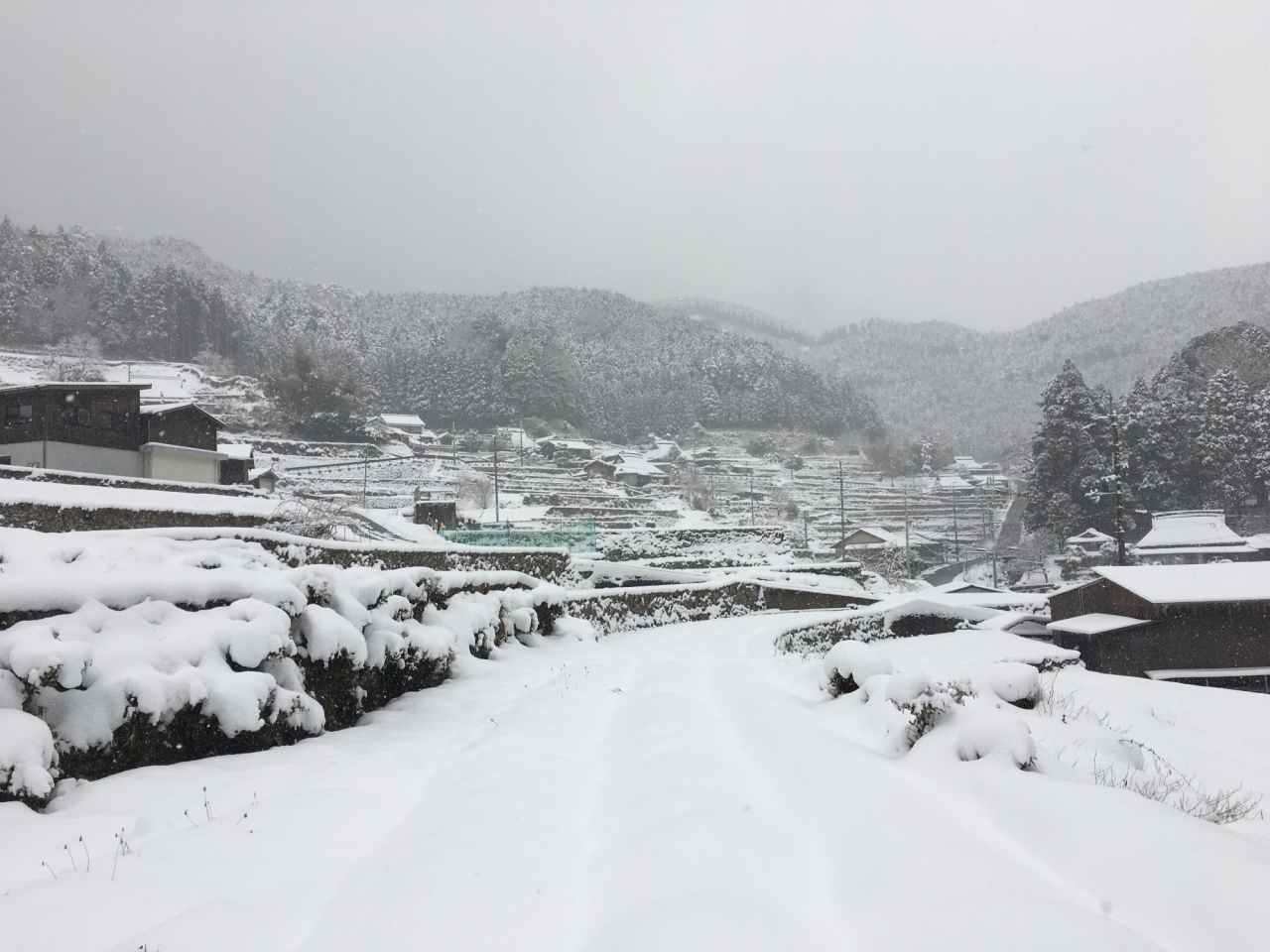 2018年1月27日 雪 - 田圃