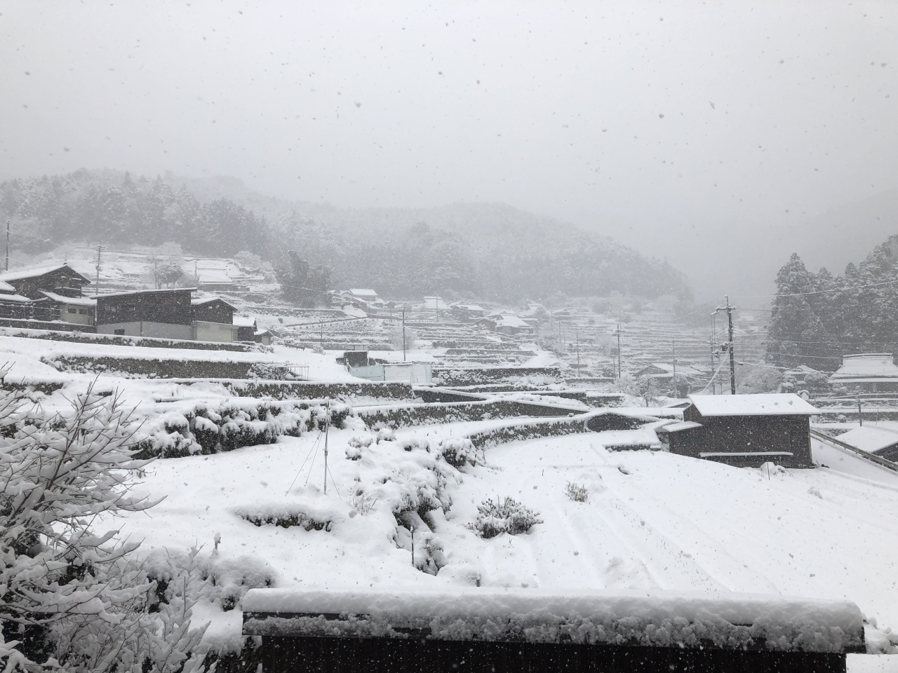 2019年2月11日 - 定点観測