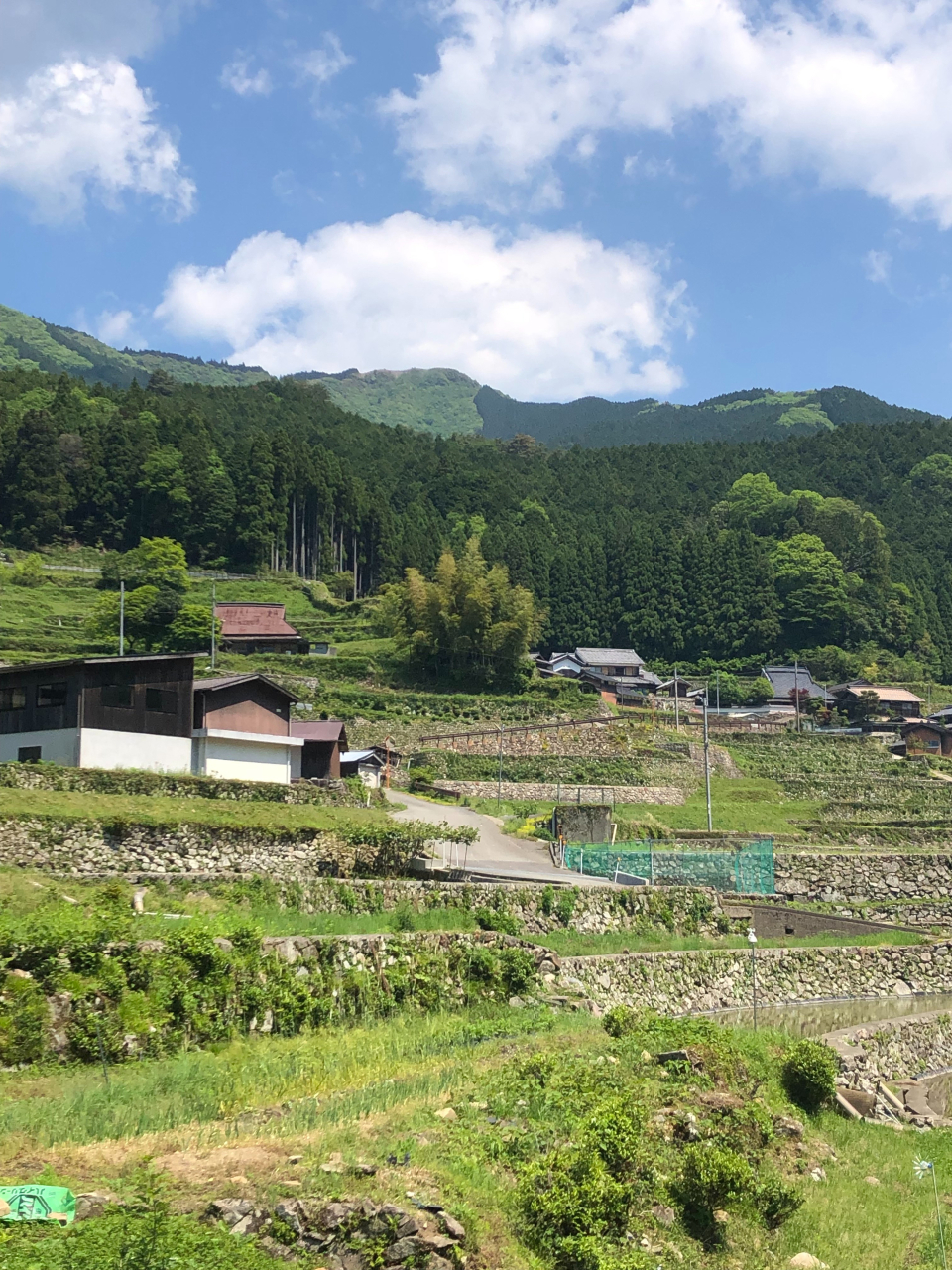 2022年5月 千ヶ峰遠景 - 家の裏から