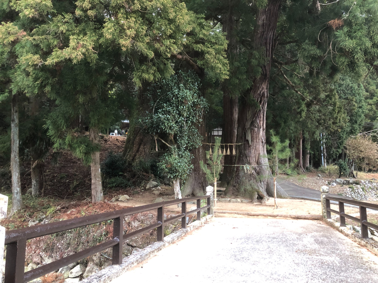 2023年 初詣 - 五霊神社参道