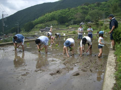 絵日記 2006-05-14 棚田オーナー田植祭