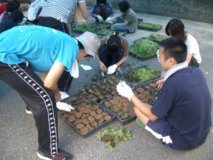 絵日記 2006-07-23 棚田オーナー案山子祭