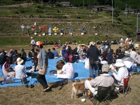 絵日記 2006-10-09 棚田オーナー収穫祭