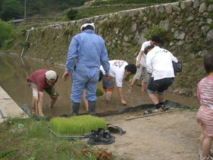 絵日記 2007-05-13 棚田オーナー田植え祭