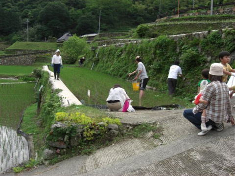 絵日記 2007-06-10 棚田オーナー草刈り・施肥