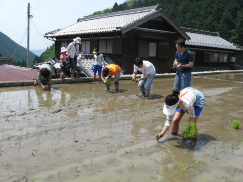 絵日記 2008-05-18 棚田オーナー田植え祭