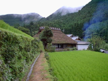 茅葺き屋根の家