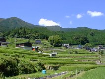 千ヶ峰と岩座神の棚田