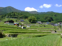 千ヶ峰と岩座神の棚田