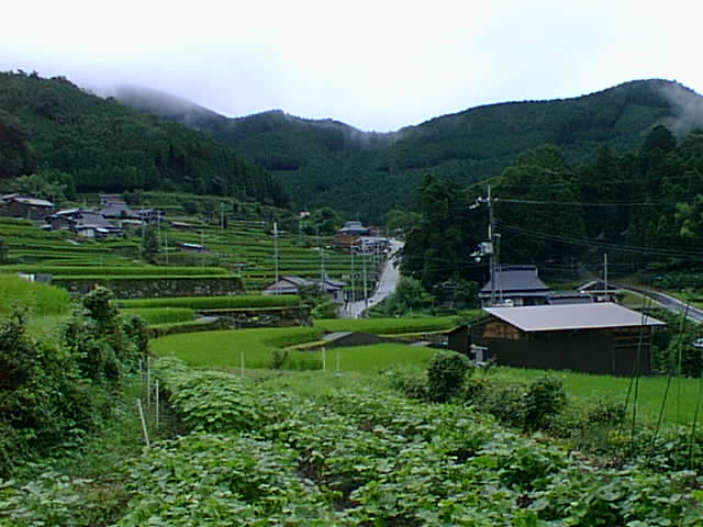 岩座神の棚田