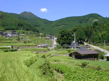 岩座神の棚田