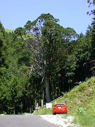 1997年5月 岩座神