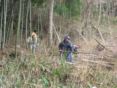 絵日記 2010-02-14 山林整備