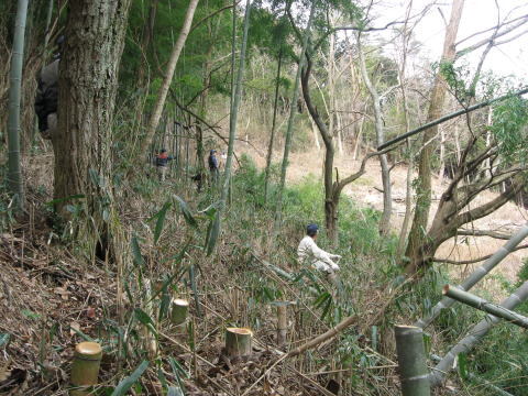絵日記 2010-02-14 山林整備 - 休憩中