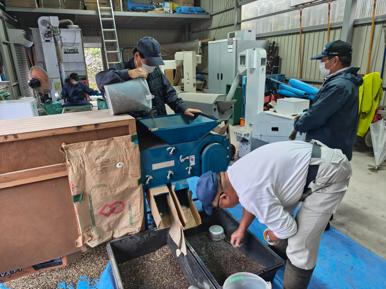 蕎麦の選別作業