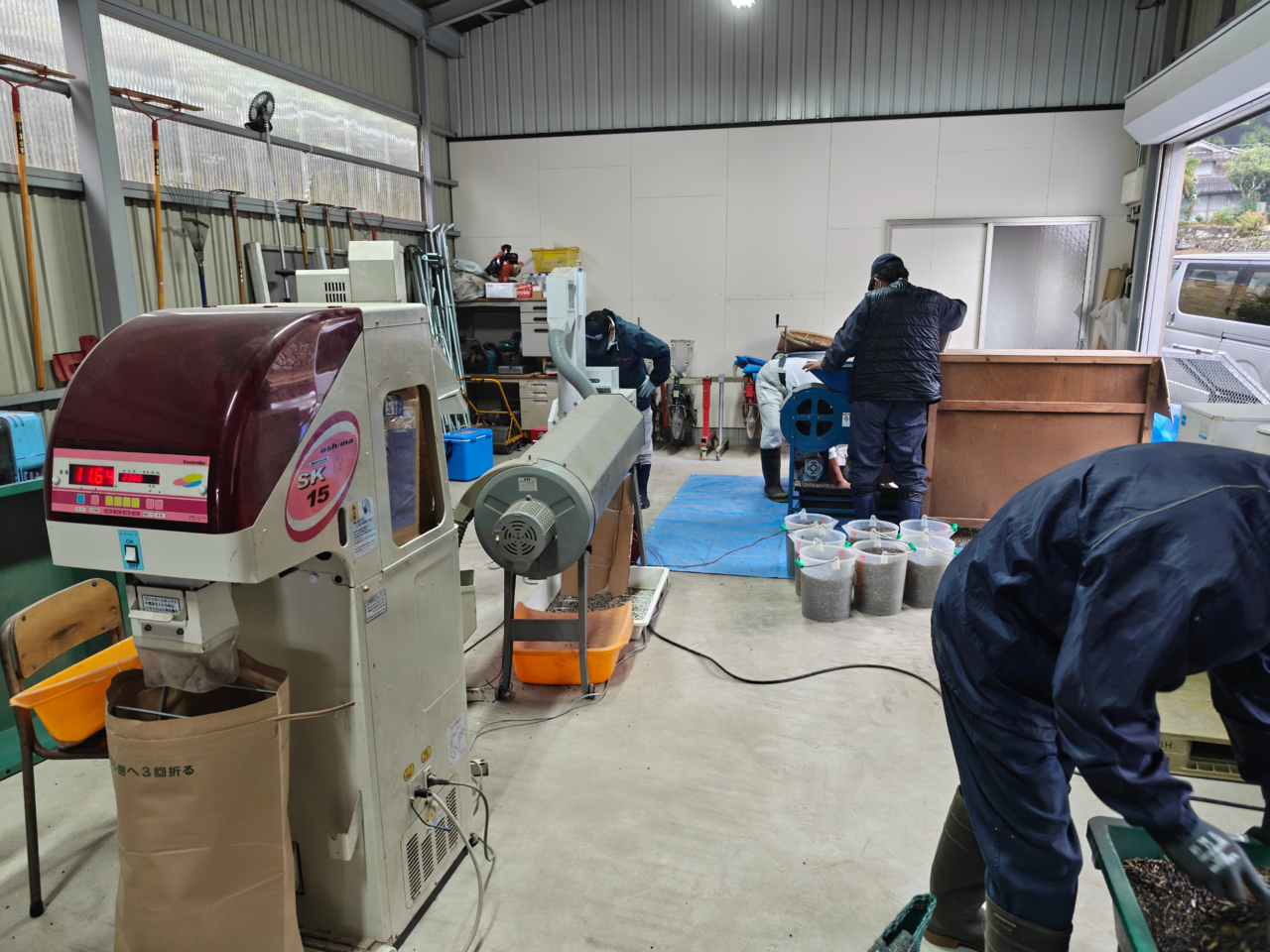 蕎麦の選別作業