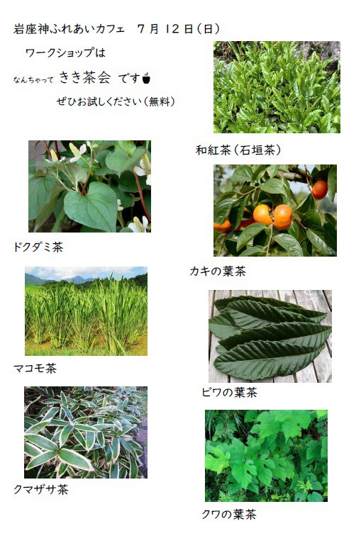 なんちゃって「きき茶会」