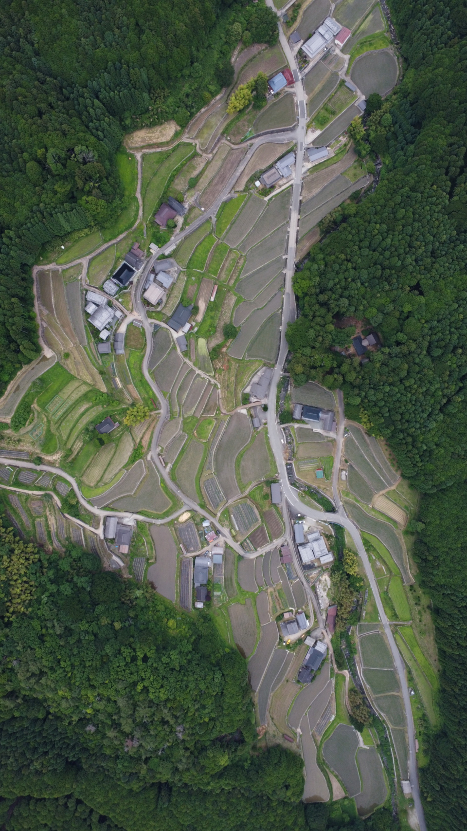 岩座神中心部