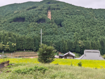 崩れた斜面