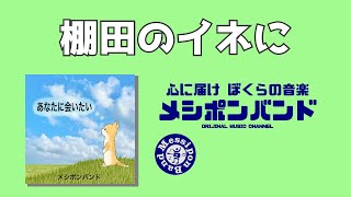 棚田のイネに - メシポンバンド